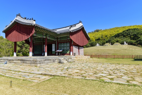 <b>왕릉</b> 뷰 아파트 <b>논란</b>, 태릉<b>골프</b>장 주택공급 사업에 불똥